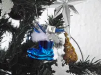 100_5570.webp