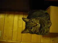 IMGP1936.webp
