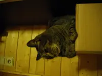 IMGP1935.webp
