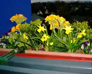 Blumenkasten_3.jpg