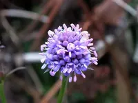 K800_DSCF5770.webp