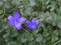 K800_DSCF5769.webp