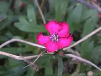 K800_DSCF5766.webp