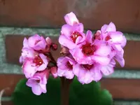 K800_DSCF5765.webp