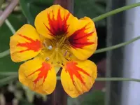 K800_DSCF5764.webp