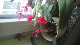 20141218_151140.webp