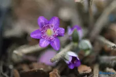 comp_DSC07632.webp