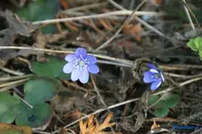 comp_DSC07728.webp
