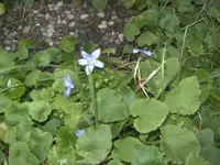BILD3662.webp