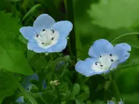 image.webp