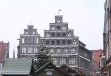 100_5583 (2).webp
