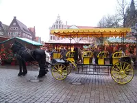 100_5596.webp