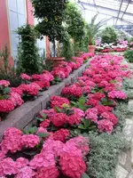 CIMG7581.webp