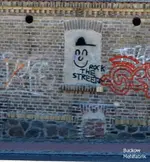 DSC_0466__Buckow.webp