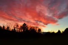 DSC_0197.webp
