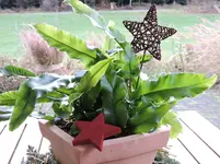 DSCN0017.webp