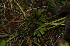 DSC02582.webp