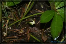 comp_DSC02583.webp