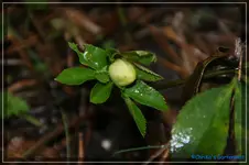 comp_DSC02588.webp