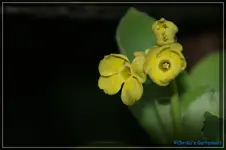 comp_DSC02585.webp