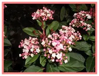 016.webp
