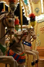 DSC_0147.webp