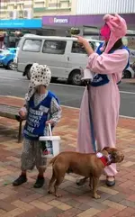 Copy of IMG_0133.webp
