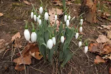 DSCF9438.webp