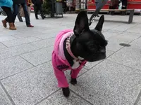 P1240617.webp