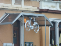 P1240630.webp