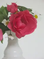 Röschen_2014.webp