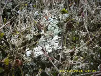 DSCI2655.webp