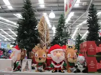 Copy of IMG_0092v.webp