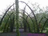PIC00035.webp