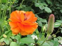 IMG_0885v.webp