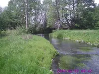 Spreewald1.webp