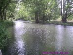 Spreewald2.jpg