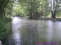 Spreewald2.webp