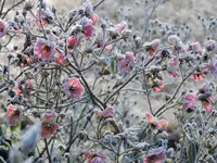 DSCN0042.webp
