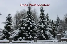 Frohe Weihnacht.webp