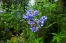 DSCF9465 (2).webp