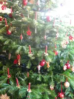 DSCN6447.webp