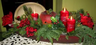IMG_3784.webp