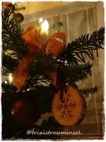 459.webp