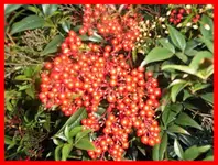 004.webp