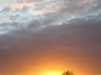 Bild 729.webp