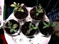 DSCF8617.2.webp