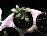 DSCF8621.2.webp