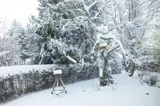 DSCF9516 (2).webp