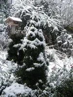 DSCN6487.webp